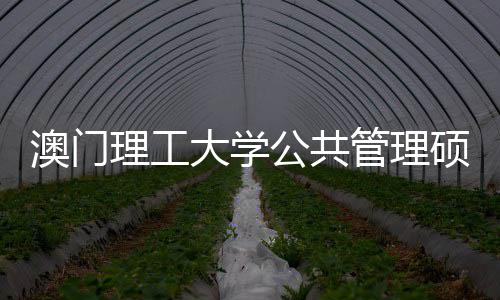 问题大学理工澳门公共管理0个面试常见硕士
